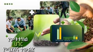 Planting for a healthier future at Kilinto